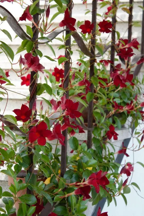 Appartamento Le Magnolie 2 Mestre 0*,  Italy