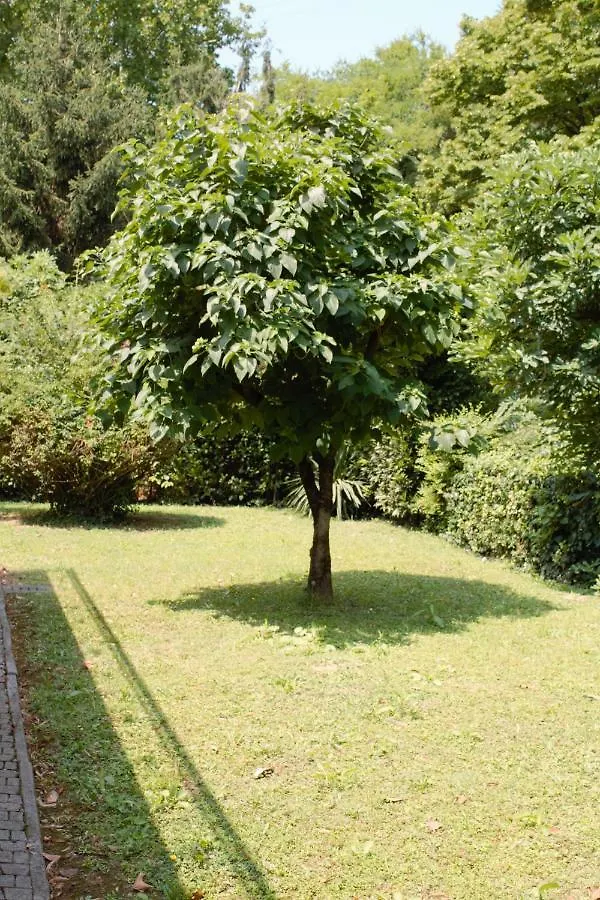 Appartamento Le Magnolie 2 Mestre Apartment